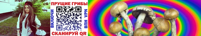 Псилоцибиновые грибы Magic Shrooms  Красный Холм 