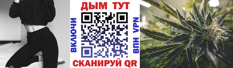 где купить наркоту  Красный Холм  Конопля сатива 